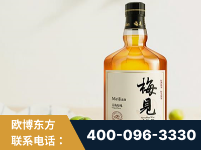 邯郸-梅见青梅酒